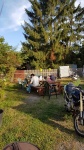 IMG-20160904-WA0215.jpg