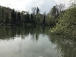 IMG_3831.JPG