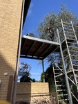 IMG_0594.JPG