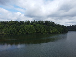 DJI_0649.JPG